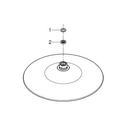 GROHE 26455000 - Cabezal de ducha EUPHORIA 260, 260 mm, cromo brillante