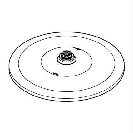 GROHE 26561000 - Cabezal de ducha RAINSHOWER 310 mm, cromo brillante