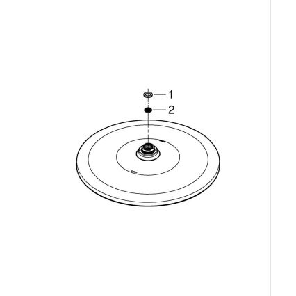 GROHE 26562000 - Cabezal de ducha RAINSHOWER MONO 310 mm cromo brillante