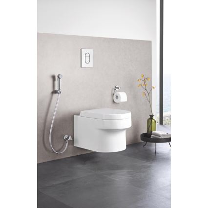 GROHE 27512001 - Ducha de mano TEMPESTA-F TRIGGER SPRAY 30 36 mm cromado brillante