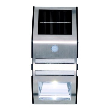 Grundig - Aplique solar LED con sensor de movimiento y crepúsculo LED/1xAA 600mAh IP64