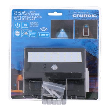 Grundig - Lámpara solar LED con sensor de movimiento y crepúsculo LED/0,25W/1xAA 300 mAh
