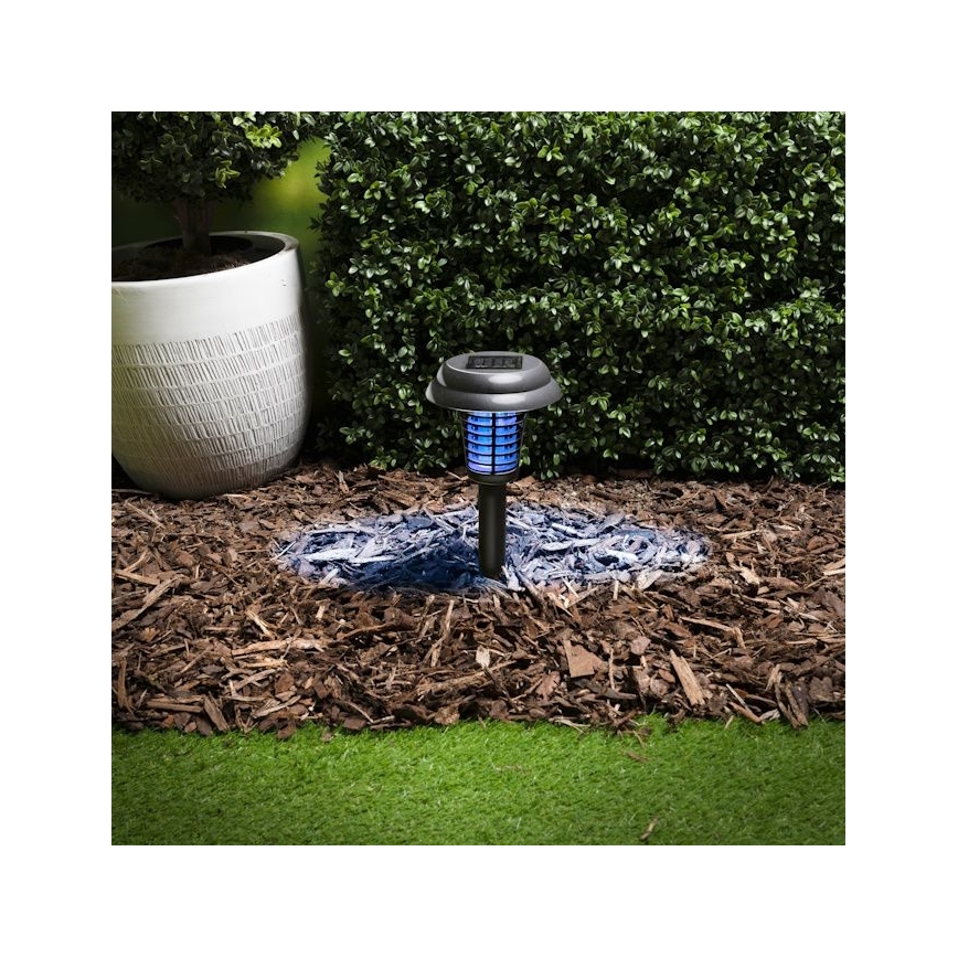 Grundig - Lámpara solar LED y trampa para insectos con LED UV/1xAA 600 mAh IPX4
