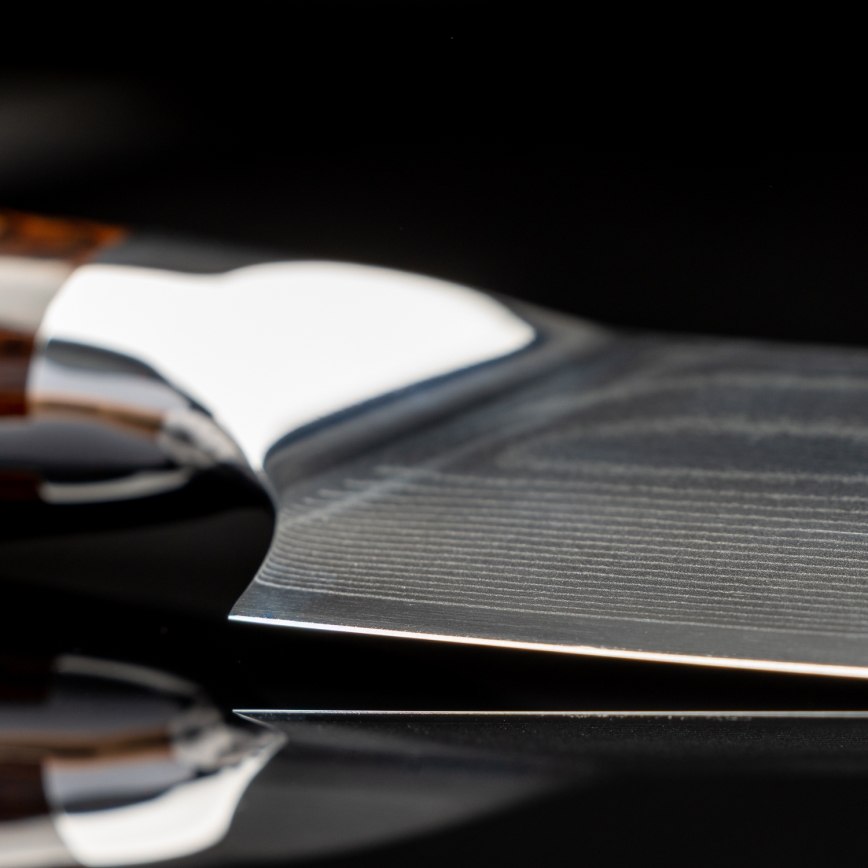 Gudaro - Cuchillo de chef Damasco FENG 8, 67 capas de acero, longitud 20 cm