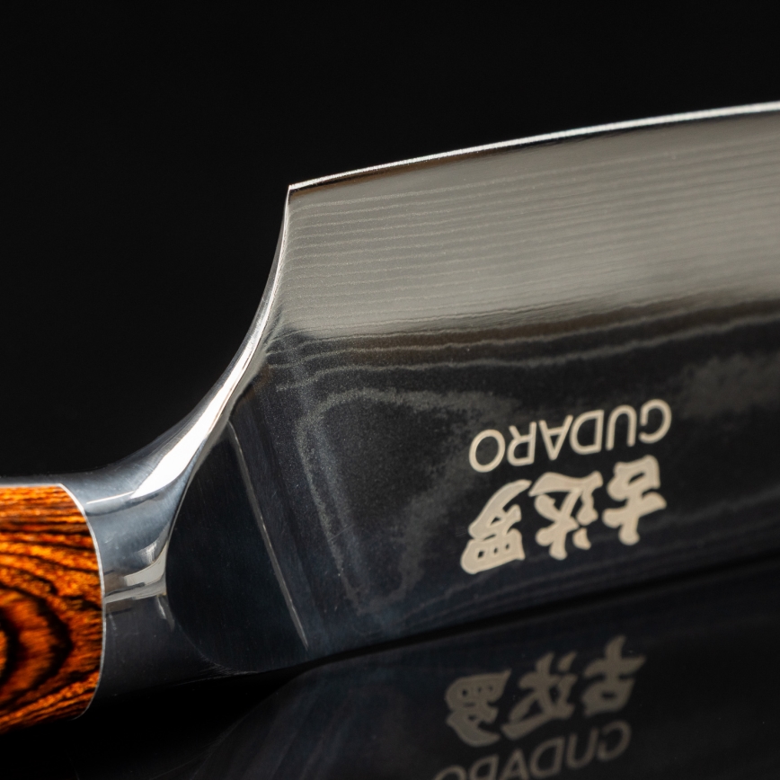 Gudaro - Cuchillo de chef de damasco FENG 8, 67 capas de acero, longitud 20 cm