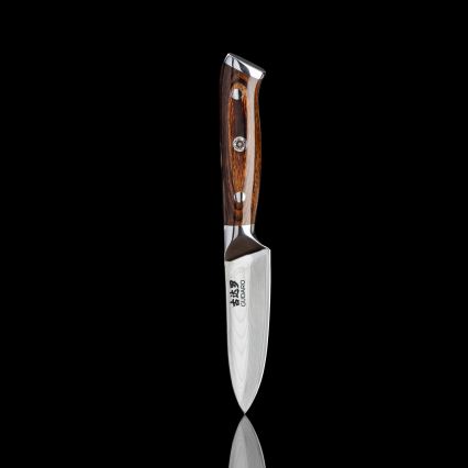 Gudaro - Cuchillo de cocina PARING 7,6 cm, acero damasco