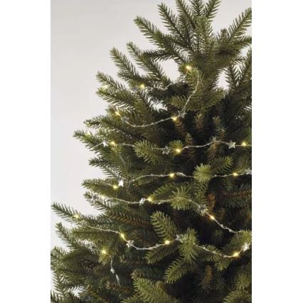 Guirnalda LED, 20 LEDs, alimentada por 2 pilas AA, 2,2 m, blanco cálido