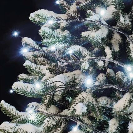Guirnalda LED para exterior 100 LEDs / 10 m IP44, blanco frío