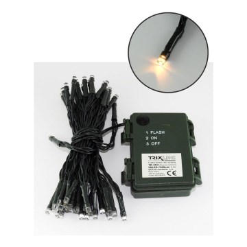 Guirnalda LED para exterior 50 LEDs / 2 funciones 5,4 m IP44 blanco cálido