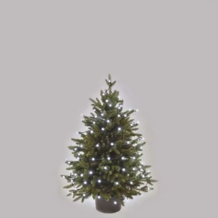 Guirnalda navideña LED para exterior, 80 LEDs, 8 funciones, 13 m, blanco frío, IP44