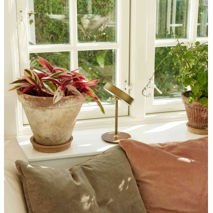 Halo Design 745784 - Lámpara de mesa recargable y regulable LED ON THE MOVE LED/2,5W/4000 mAh latón/madera