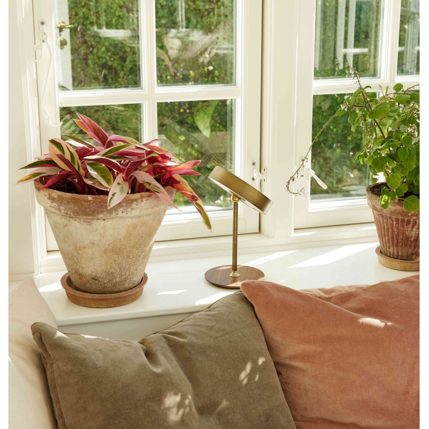 Halo Design 745784 - Lámpara de mesa recargable y regulable LED ON THE MOVE LED/2,5W/4000 mAh latón/madera