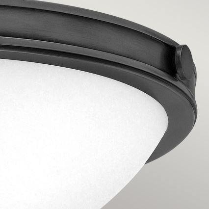 Hinkley - Lámpara de techo COLLIER 2xE27/40W/230V Ø 34,6 cm negra