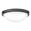 Hinkley - Lámpara de techo COLLIER 2xE27/40W/230V Ø 34,6 cm negra