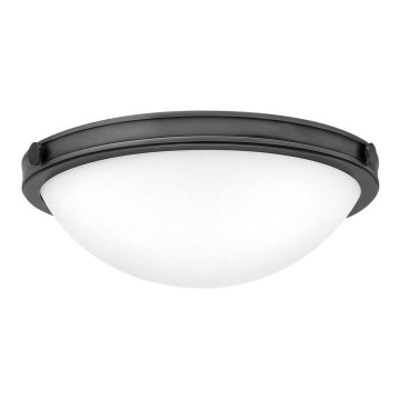 Hinkley - Lámpara de techo COLLIER 2xE27/40W/230V Ø 34,6 cm negra