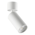 Ideal Lux - Foco LED DYNAMITE 1xGU10/7W/230V CRI 90 blanco