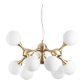 Ideal Lux - Lámpara colgante con cable NODI 9xE14/28W/230V Ø 80 cm latón/blanco