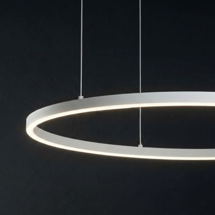 Ideal Lux - Lámpara colgante con cable ORACLE SLIM LED/83W/230V 3000K CRI 90 Ø 150 cm blanca