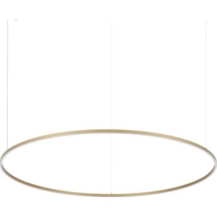 Ideal Lux - Lámpara colgante con cable ORACLE SLIM LED/81W/230V 3000K CRI 90 diámetro 150 cm color dorado