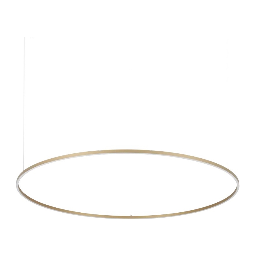 Ideal Lux - Lámpara colgante con cable ORACLE SLIM LED/81W/230V 3000K CRI 90 diámetro 150 cm color dorado