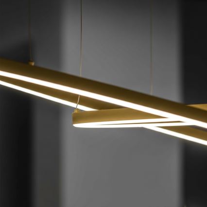 Ideal Lux - Lámpara colgante con cable ORACLE SLIM LED/81W/230V 3000K CRI 90 diámetro 150 cm color dorado