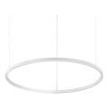 Ideal Lux - Lámpara colgante LED en cable ORACLE SLIM LED/37W/230V 4000K CRI 90 Ø 70 cm blanca