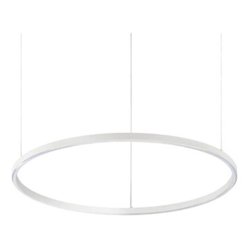 Ideal Lux - Lámpara colgante LED en cable ORACLE SLIM LED/37W/230V 4000K CRI 90 Ø 70 cm blanca