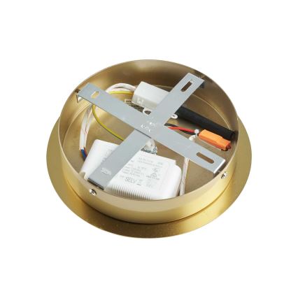 Ideal Lux - Lámpara colgante LED EQUINOXE 12xG4/2W/230V diá. 124 cm latón/transparente