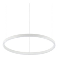 Ideal Lux - Lámpara colgante LED regulable en cable ORACLE SLIM LED/28W/230V 3000K (blanco cálido) CRI 90 Ø 50 cm blanca