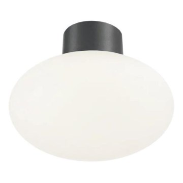 Ideal Lux - Lámpara de techo exterior CLIO 1xE27/42W/230V IP44 antracita