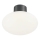 Ideal Lux - Lámpara de techo exterior CLIO 1xE27/42W/230V IP44 antracita