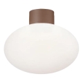 Ideal Lux - Lámpara de techo exterior CLIO 1xE27/42W/230V IP44 marrón