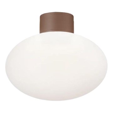 Ideal Lux - Lámpara de techo exterior CLIO 1xE27/42W/230V IP44 marrón
