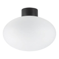 Ideal Lux - Lámpara de techo exterior CLIO 1xE27/42W/230V IP44 negra