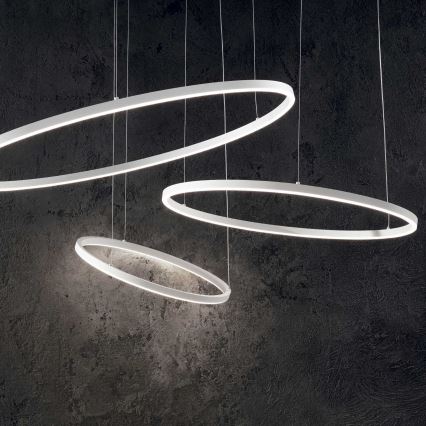 Ideal Lux - Lámpara LED colgante ORACLE SLIM LED/38W/230V 3000K diá. 70 cm blanco
