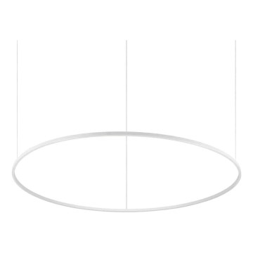 Ideal Lux - Lámpara LED colgante ORACLE SLIM LED/89W/230V 4000K diá. 150 cm blanco