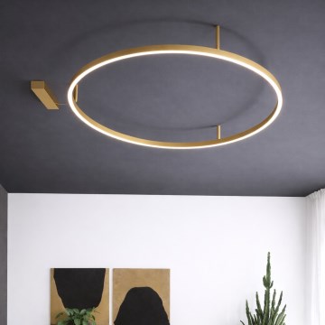 Ideal Lux - Luminaria de techo LED ORACLE SLIM LED/37W/230V 3000K CRI 90 Ø 70 cm dorado