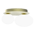 Ideal Lux - Plafón LED NINFEA 2xG9/3W/230V dorado