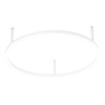 Ideal Lux - Plafón LED ORACLE SLIM LED/29W/230V 4000K diá. 50 cm blanco
