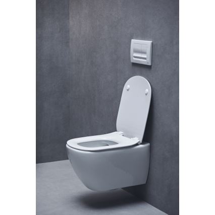 Ideal Standard T552201 - Asiento de inodoro SoftClose TESI blanco