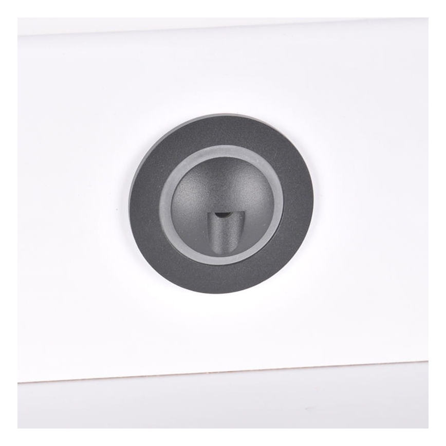 Iluminación de escalera LED exterior Q2 LED/3W/230V IP44