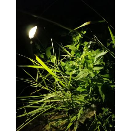 Lámpara solar LED con sensor LED/1W/3,7V 6000K IP65 1500 mAh