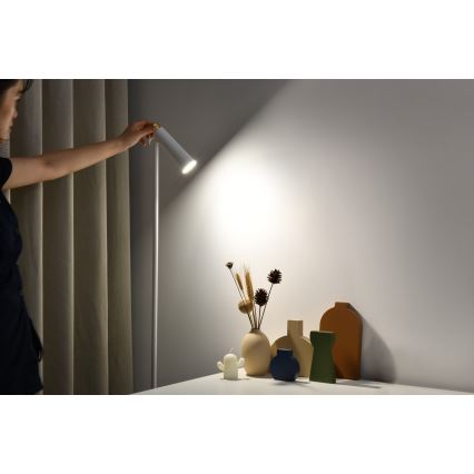 Lámpara de pie LED regulable TIT LED/6W/230V blanco