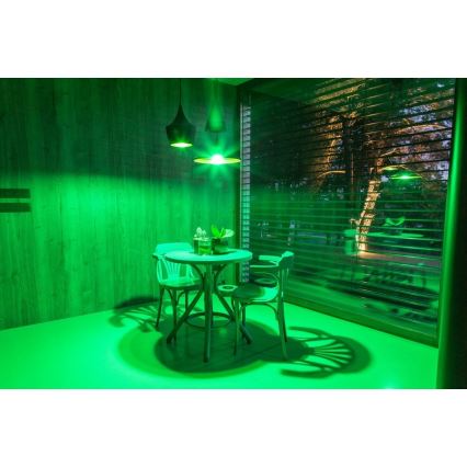 Immax NEO - 2xLED RGB regulable bombilla E14/5W/230V ZigBee