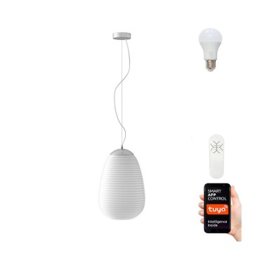 Immax NEO 07066L - Lámpara colgante LED RGBW regulable COCONO 1xE27/8,5W/100-240V 24 cm Tuya + mando a distancia