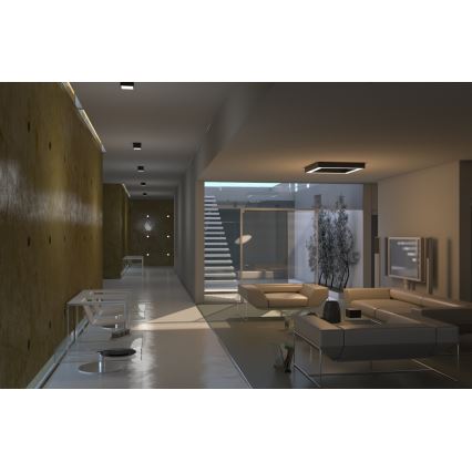 Immax Neo 07074L-15BD - Set 2x Plafón LED regulable CANTO 2xLED/12W/230V + control remoto Tuya
