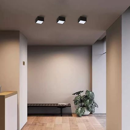Immax Neo 07074L-15BD - Set 2x Plafón LED regulable CANTO 2xLED/12W/230V + control remoto Tuya