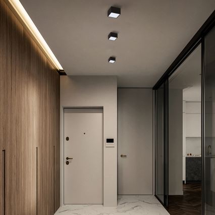 Immax Neo 07074L-15BD - Set 2x Plafón LED regulable CANTO 2xLED/12W/230V + control remoto Tuya