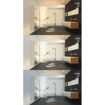 Immax NEO 07110K - Plafón de baño regulable PRACTICO LED/24W/230V Tuya