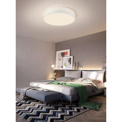 Immax NEO 07153-W40 - Lámpara de techo LED regulable NEO LITE PERFECTO LED/24W/230V Wi-Fi Tuya blanca + mando a distancia